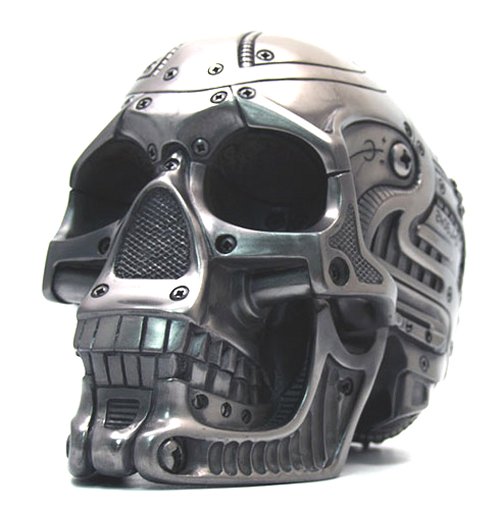 cyborg_skull_1.jpg