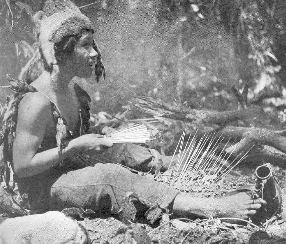 indian-curare