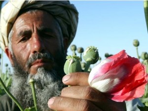 avganistan