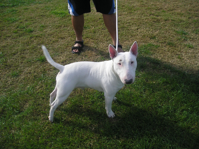 Upoznavanje deckovih roditelja upoznavanje deckovih roditelja