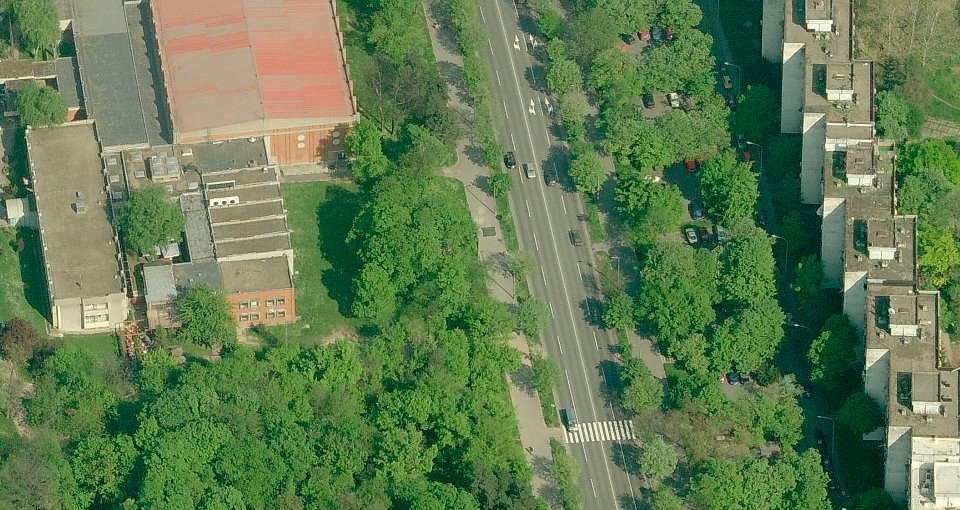 Tarzanija