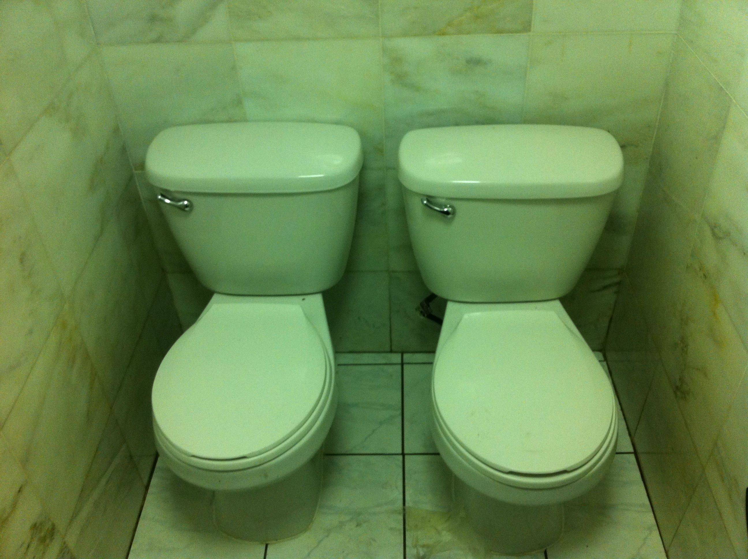 Can You Connect Two Toilets Together at Don Orosco blog