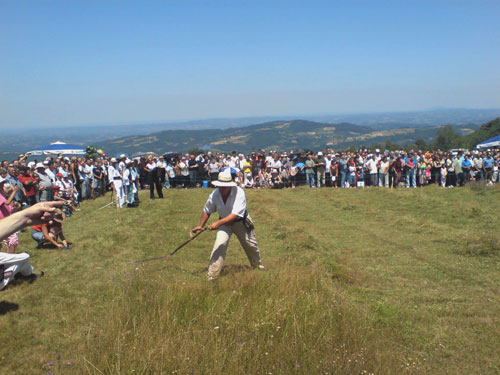 Tarzanija