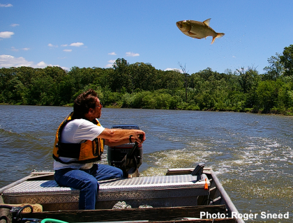 asian_carp_presentations