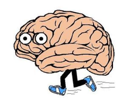 brain