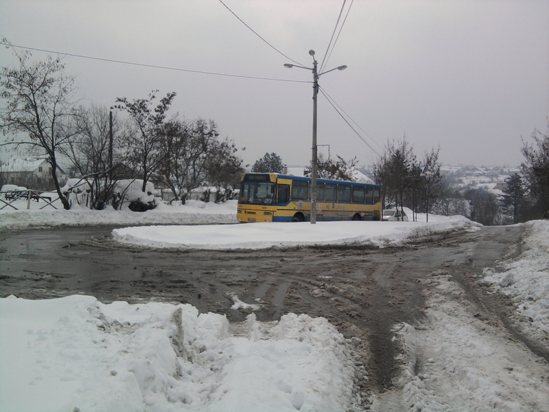 Tarzanija