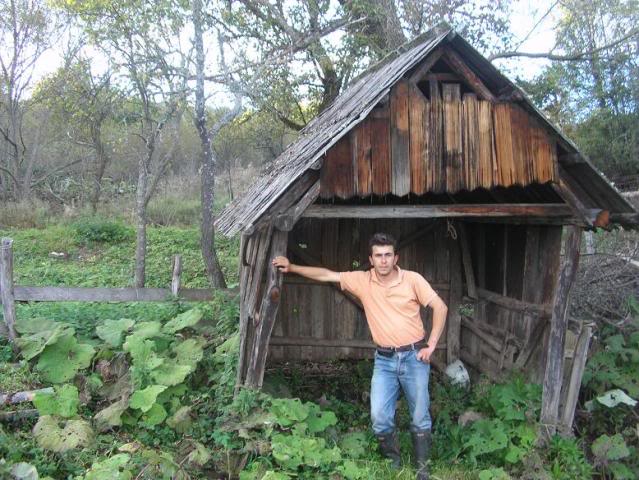 šupa